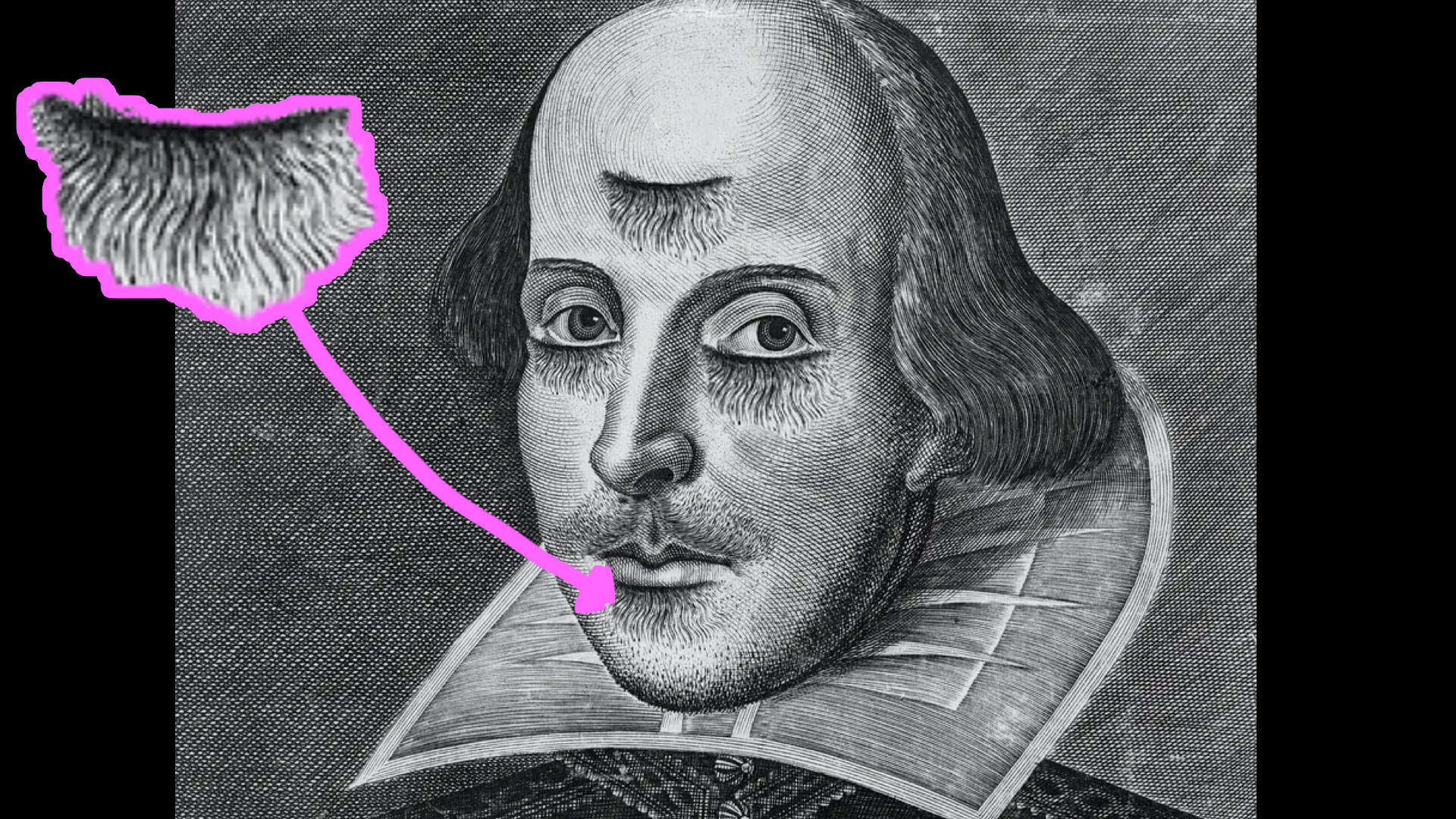 Shakespeare_With_Soul_Patches
